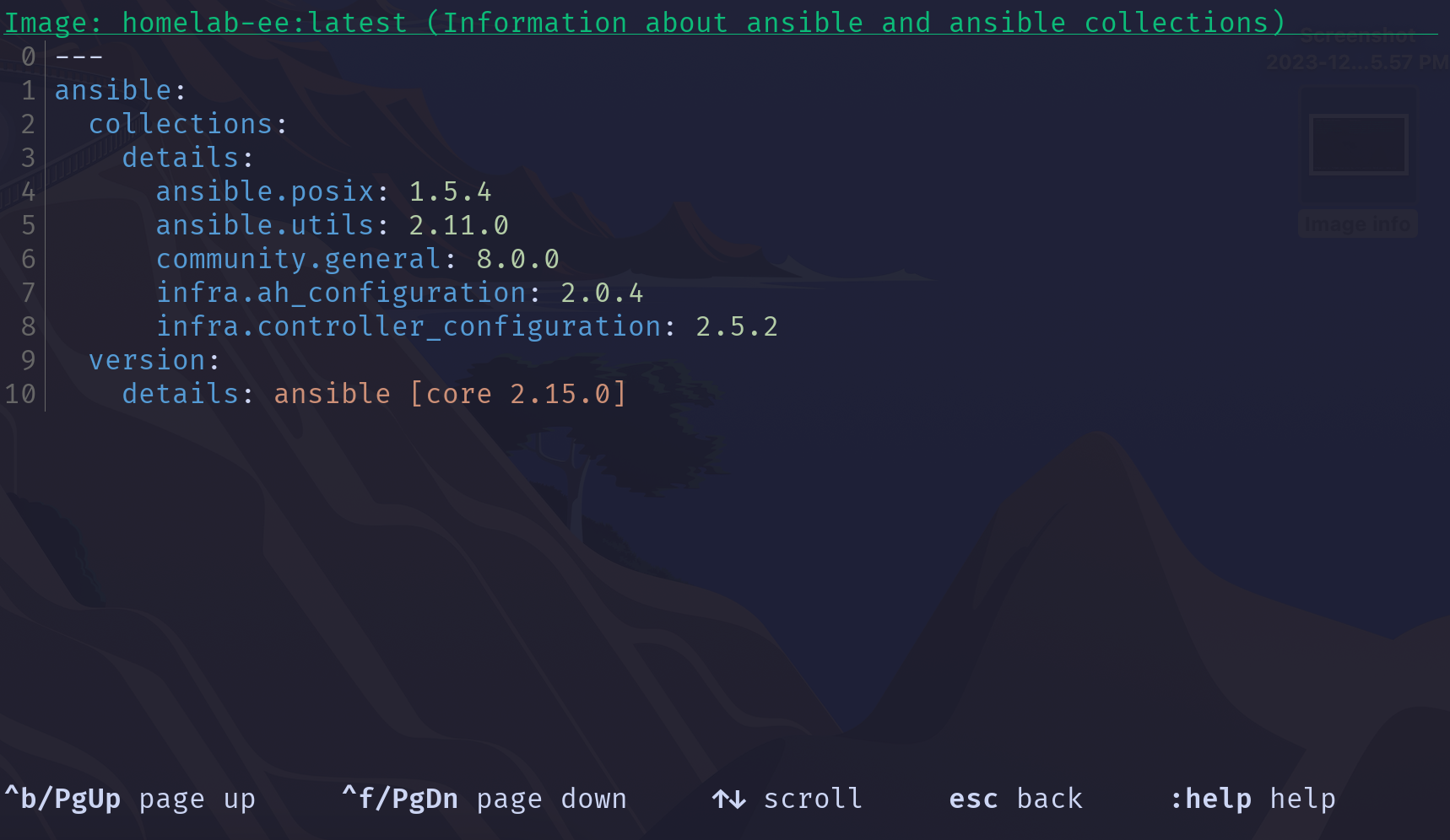 Ansible Navigator Image ansible view